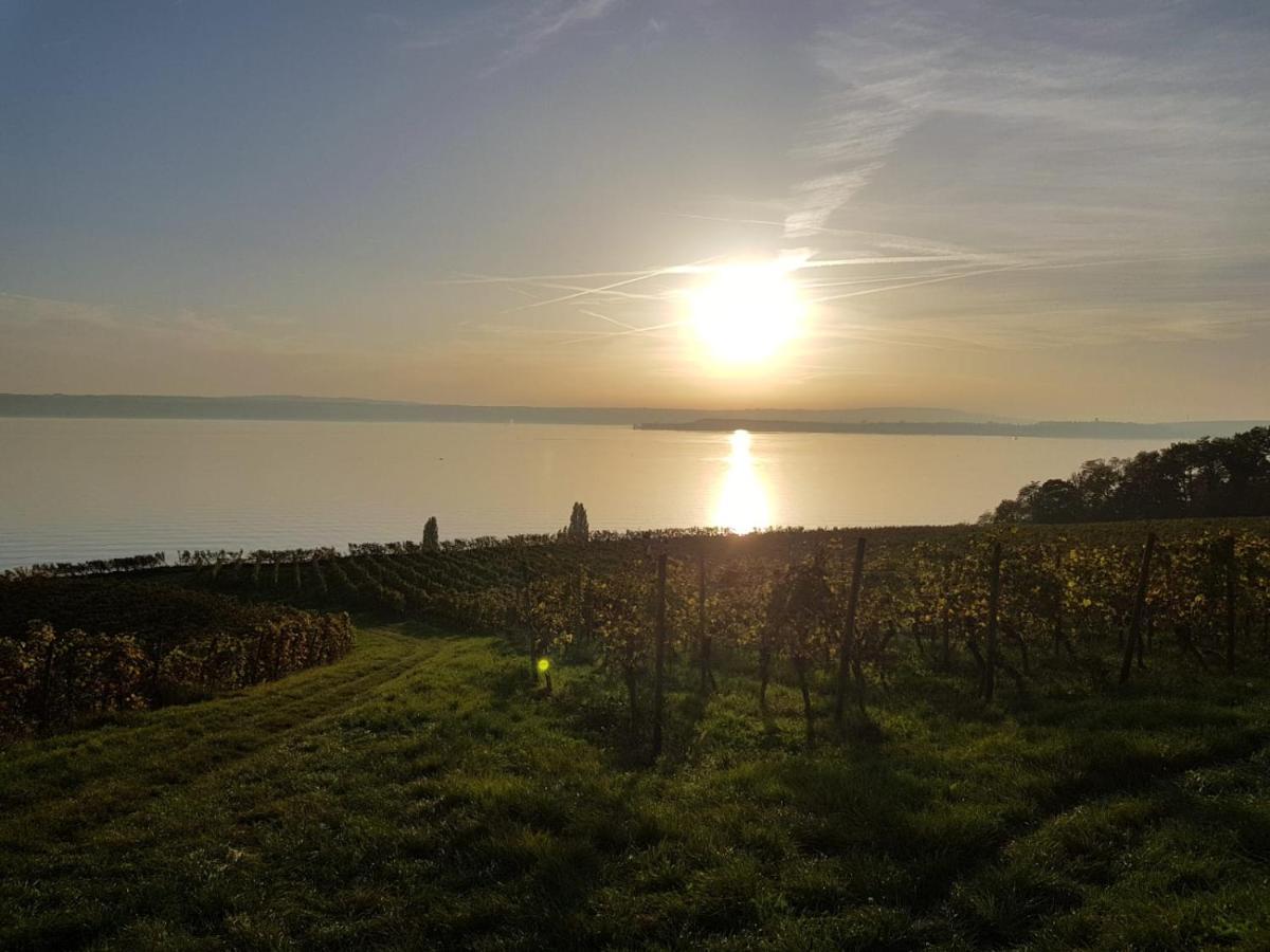 Schoene Stadtwohnung In Friedrichshafen Am Bodensee Εξωτερικό φωτογραφία